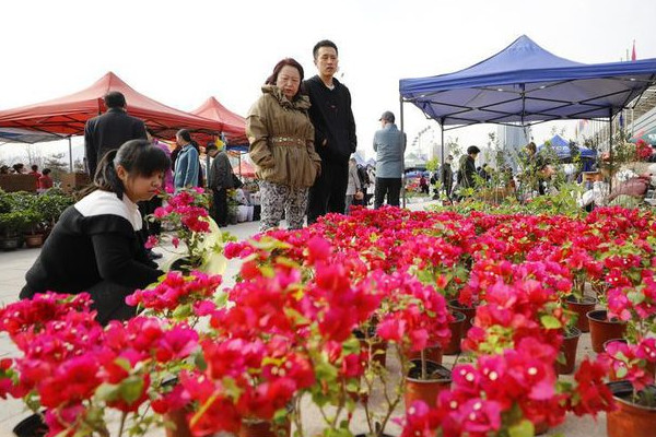 第四屆蘭州花卉博覽會開幕