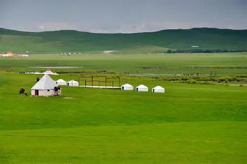 守護好現存草原中的“大熊貓”