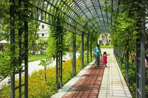 康養花園設計，讓景觀助力健康新生活