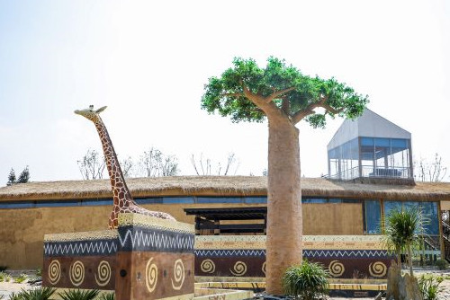 揚(yáng)州世園會(huì)吉布提園 主題園事活動(dòng)展現(xiàn)非洲文化