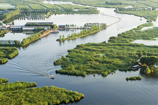 如何才能讓生態水系活起來？