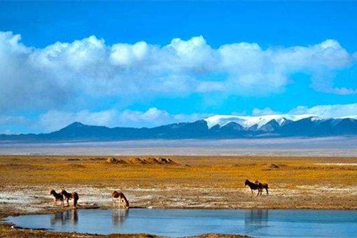 可可西里由亂而治的寶貴啟示