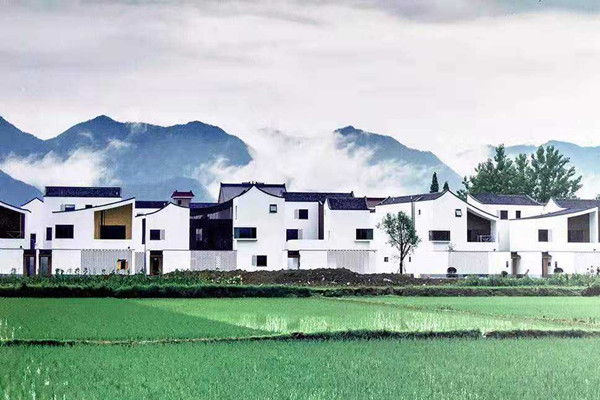 如何補齊農村人居環境短板？