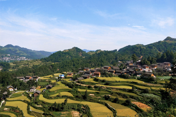 鄉(xiāng)村振興,設(shè)計(jì)師如何大有作為?