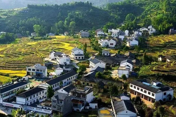 七大舉措做好鄉村振興這篇大文章