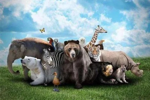 崔書紅：開啟生物多樣性保護新篇章