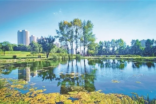 趙兵：結合市場營銷進行公園設計