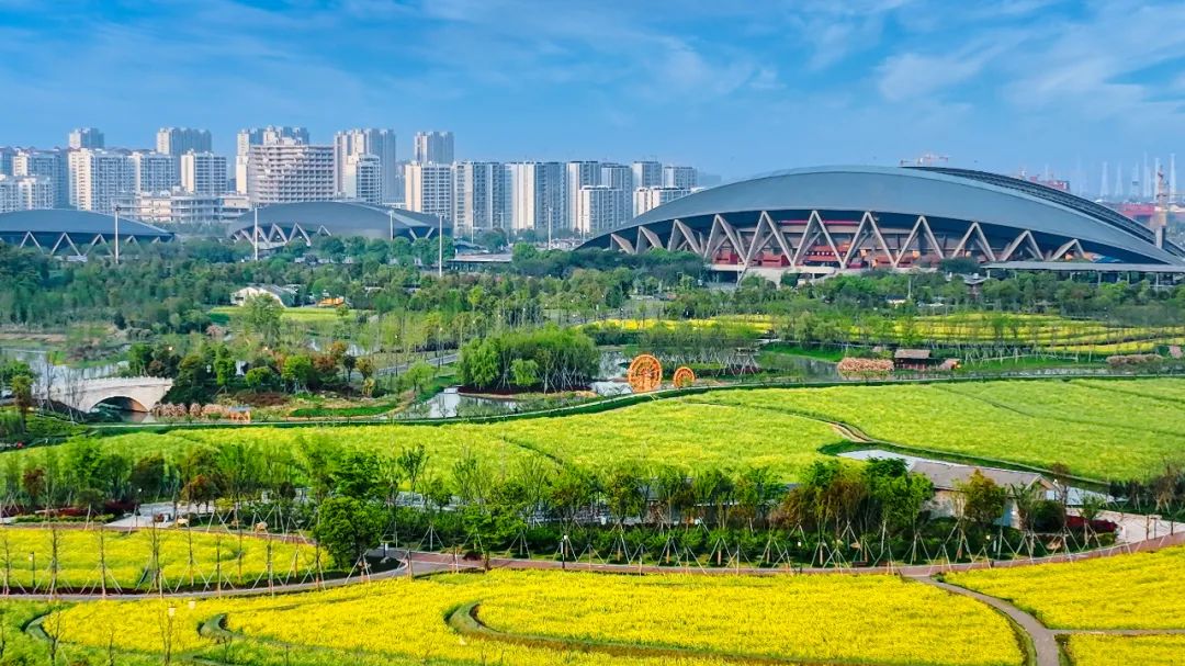 赤地設(shè)計丨金華湖海塘公園復(fù)耕改造工程