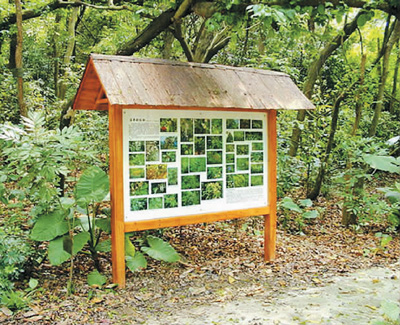 一南一北 國家植物園花開兩朵