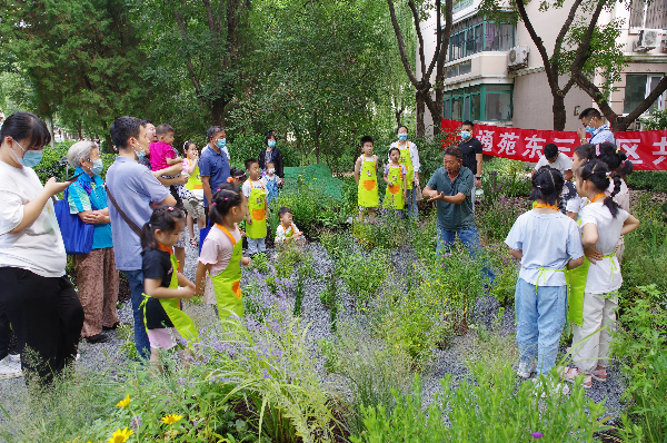 共享“海綿”福利 共建雨水花園
