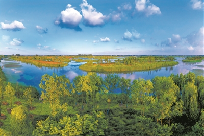 江蘇揚州北湖國家濕地公園晉升“國家隊”