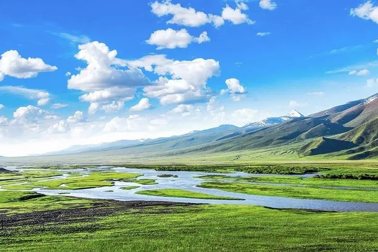 國家公園，綻放在三江源頭