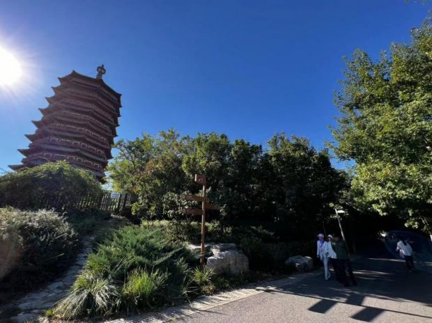 北京園博園永定塔下山花浪漫形成天然綠色長廊