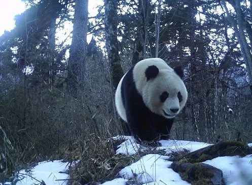 我國獲得第五屆世界生物圈保護區(qū)大會承辦權(quán)