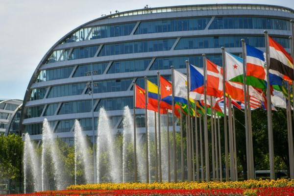 第五屆進博會場館景觀裝飾全面定妝