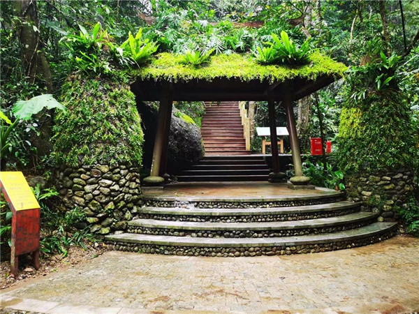 園冶杯金獎作品丨五指山熱帶雨林谷道