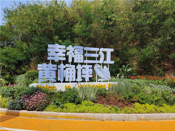 園冶杯獲獎作品丨三江新區黃桷坪大道