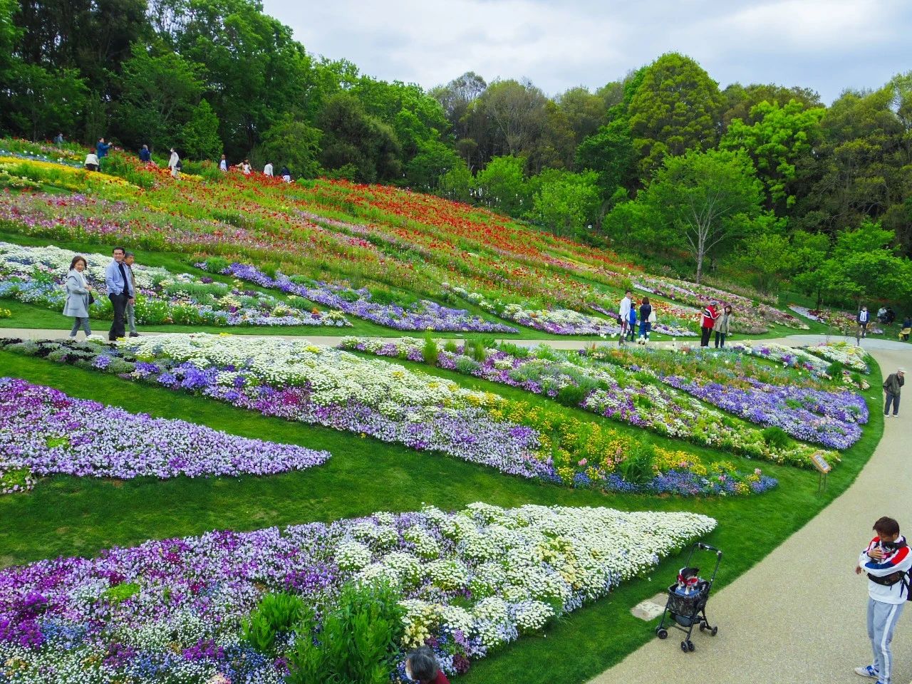 戶田風景丨里山花園