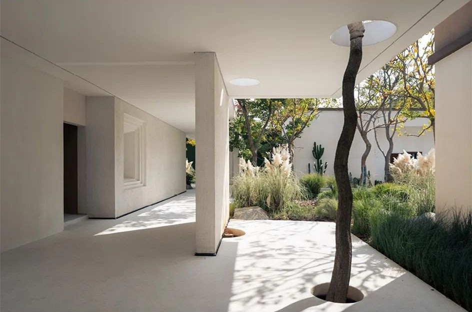 藍調2023國際項目精選合集