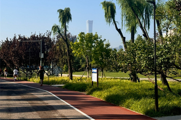 公園正悄然打開城市新生活方式