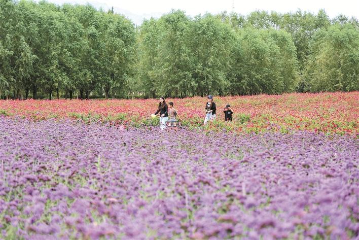 新疆鐵門關：戈壁灘上崛起“公園城市”