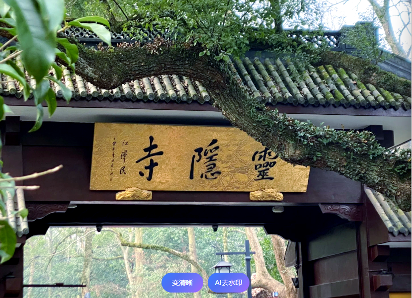 文旅創新實踐帶給我們哪些啟示?