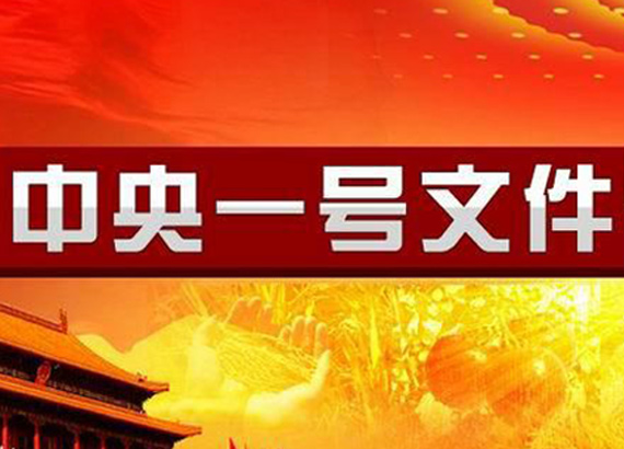 中央一號文件27項舉措推進鄉(xiāng)村振興