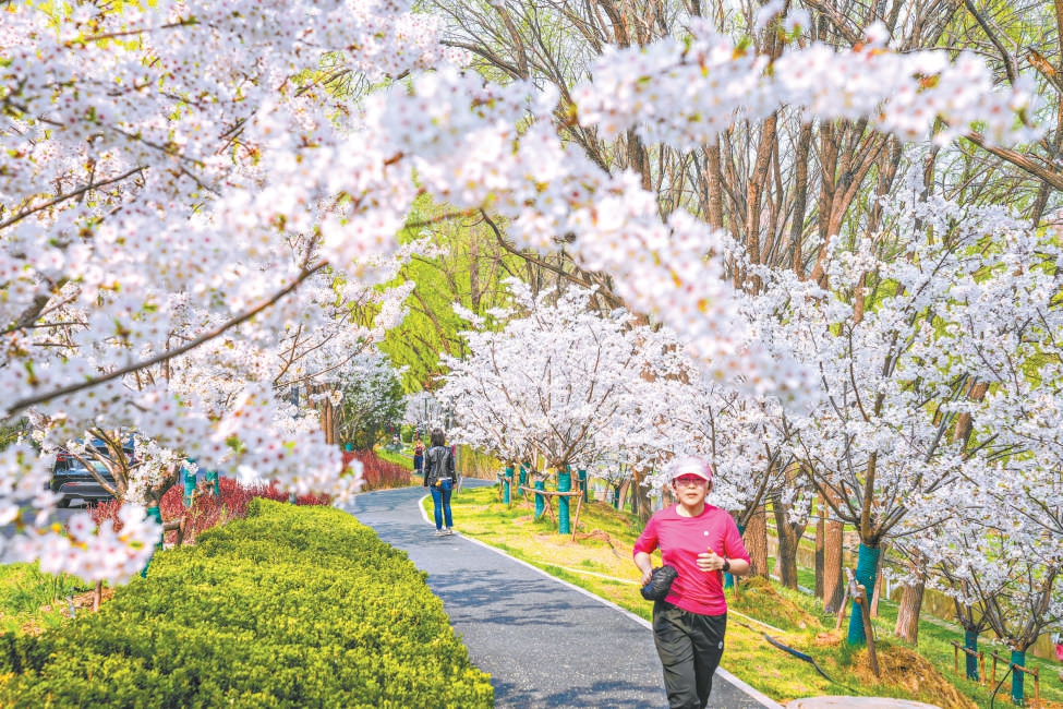 北京如何建設一座看不盡的花園之城